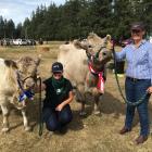 Caitlin Brooks (left), of Leeston, leads calf Terrific, while Hannah Ashworth, of Ohoka, near...