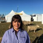 Sheep Milk New Zealand group marketing manager Virna Smith says there are plenty of benefits from...