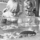 Christchurch City Libraries wants help identifying people in historic photos from The Star,...