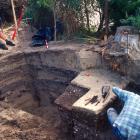 Evidence of ancient kumara storage from about 1450 emerges from this University of Otago sand...