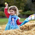 Annabelle Anderson (2), of Dunedin, hunts for Easter egg tokens in hay in the Wal’s Plant Land...