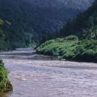 Buller River. Photo: ODT files