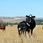 Inland Revenue will allow farmers in drought areas to make late income equalisation deposits for...