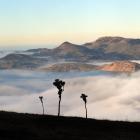 Fog filled Otago Harbour, along with other parts of coastal Otago, yesterday morning, as can be...