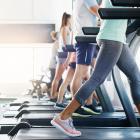 New Zealand's health and wellness industry was also running hot, with the fitness industry...