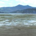 The mudflats of Harwood. Photo: ODT files 