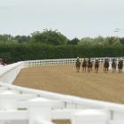 The Cambridge Jockey Club is preparing to hold its first race meeting on its new synthetic track....