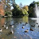The duck pond in Invercargill's Queens Park has been cleaned for the first time in 30 years....