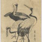 Three Cranes, by Kitagawa Tsukimaro