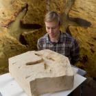 Otago Museum curator natural science Shane Fleury examines a Kyeburn moa footprint. PHOTO: GERARD...