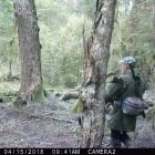 A still from a security camera on John Knight’s property, showing a man hunting unlawfully. PHOTO...