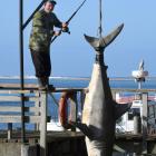 Glen Patterson shows off his great white shark prop, which has attracted plenty of attention at...