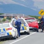 A police dog handler and search dog pick up a scent at an abandoned vehicle on State Highway 1,...