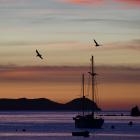 Stewart Island is home to a variety of birdlife.