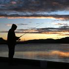 Bathed in early morning light yesterday, a fisherman takes part in the Otago Salmon Anglers’...