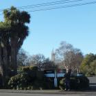 Mosgiel-Taieri Community Board member Brian Miller (far left) at the planned new entrance to the...