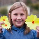 Jody Velenski (10) shows off her handiwork to raise money for the Cancer Society’s Daffodil Day...