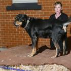 Beaumont Hotel Bark-Up organiser Jana Fransbach sets the pace during Saturday night's inaugural...
