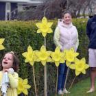 Esme Palmer  checks out a plywood daffodil outside her Balclutha home, while her mother Megan...