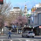 There was little activity in Dunedin’s George St at 12.30pm yesterday, as people followed...