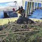 PHOTOS: KERRIE WATERWORTH