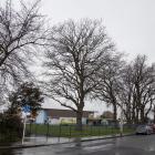 Trees at Halswell School by the School Rd fence line will not be removed to build a new play area...