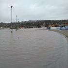 The back straight at Forbury Park after flooding in June 2015. PHOTO: CHRIS ALLISON
