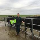 Laura Gardyne blood-tests cattle at Riversdale. . PHOTOS: VALU MAKA
