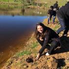 Izabella Hurst puts a plant in the ground at sheep and beef farm Spring Valley Enterprises, in...