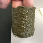While complaints about the green slime ‘‘lake snow’’ found in the Southern lakes, which clogs...