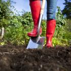 Understanding the basic needs of soil and improving soil fertility is a common theme in the...