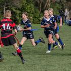 Sumner Rugby Club’s under 10/11 Rippa team, the Tiger Sharks, came away undefeated this season....