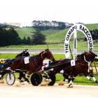 Henry Hubert (No 8), driven by Tim Williams, prevails in the feature Hannon Memorial Free-For All...