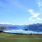 The Central Otago vineyard on the lake's shores. Photo: Briar Hardy-Hesson
