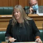 Invercargill National MP Penny Simmonds speaks on the Water Services Bill in Parliament on...