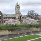 Fears have been raised about the potential for online cheating at New Zealand universities,...