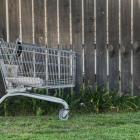 Reporting abandoned shopping trolleys was just one of four litter themes targeted in a ...