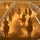 Gallopers come to the end of a trackwork session at Flemington Racecourse before the first day of...