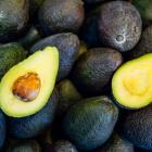 The avocado industry says that the current cheap prices for avocados are unrealistic. Photo:...