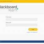 The login page for Blackboard. Photo: Supplied