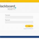 The login page for Blackboard. Photo: Supplied