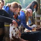 School leavers at Telford Taster Camp considering a future in farming. PHOTO: NICK BROOK