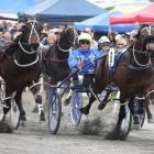 The Kaikoura Cup is on the second day of the hugely popular meeting. Photo: Harness Racing New...