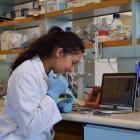 .University of Otago student Anna Clark loads a portable DNA sequencer with ship rat DNA in...