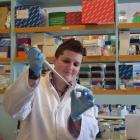 University of Otago postdoctoral fellow Alana Alexander examines a tube of possum DNA in Dunedin....