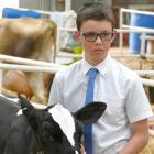 Hayden Wendelgelst (13), of Waiwera South, awaits assessment of his Holstein Friesian calf at the...