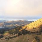 Hereweka Harbour Cone is visible for miles and features in many artworks. PHOTOS: CLAIRE FRASER