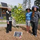 Honouring the late Allan Adamson with a magnolia are (from left) North Otago Horticultural...