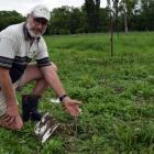 Dairy farmer Dylan Ditchfield inspects a soil solution sampler measuring nitrate leaching in an...