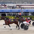 Sundees Son, driven by John Dunn, beats Mataderos to win last month’s Dominion Handicap at...